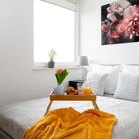 Easy Rent - Smart 708 公寓 卢布林
